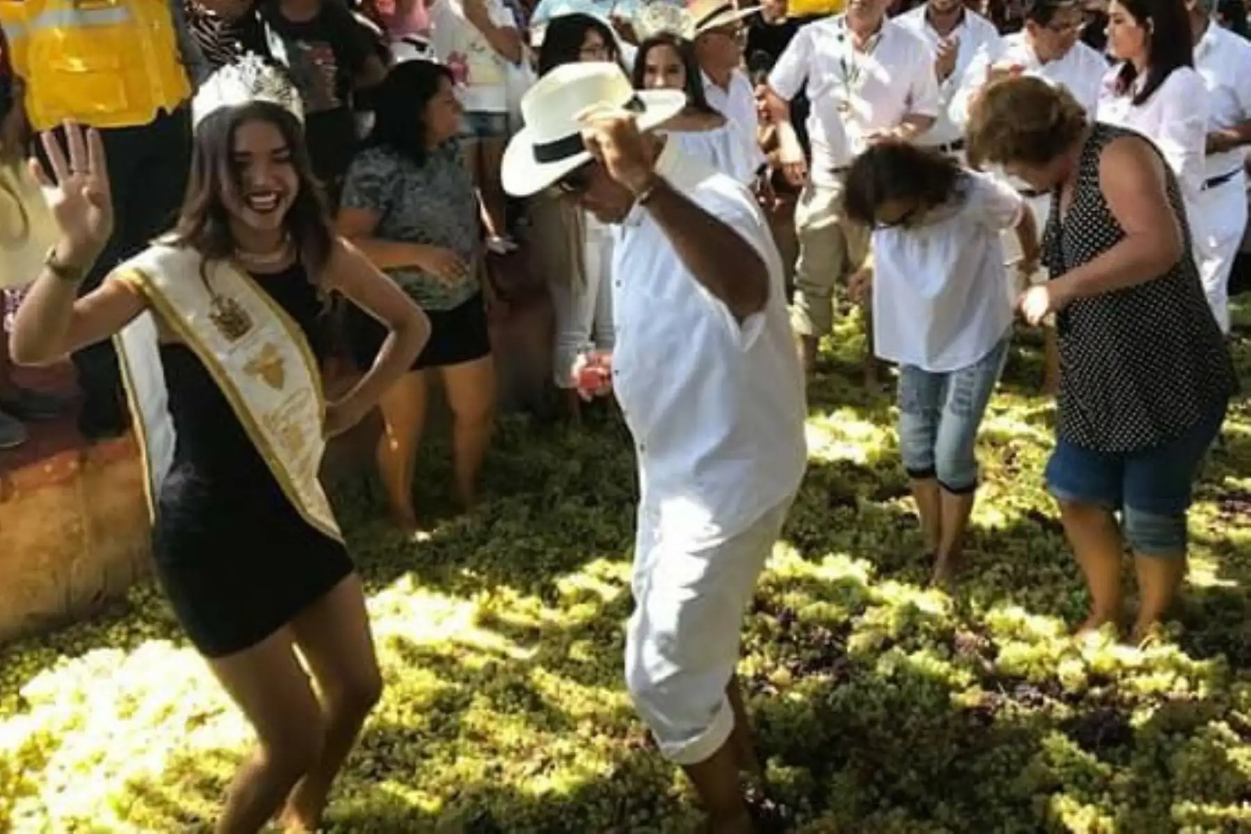 Con una serie de actividades que incluyen la tradicional pisa de las uvas y la visita a diversas bodegas vitivinícolas, se desarrolla esta semana la Fiesta de la Vendimia y la XXV Ruta de los Lagares en Ica. ANDINA/Archivo