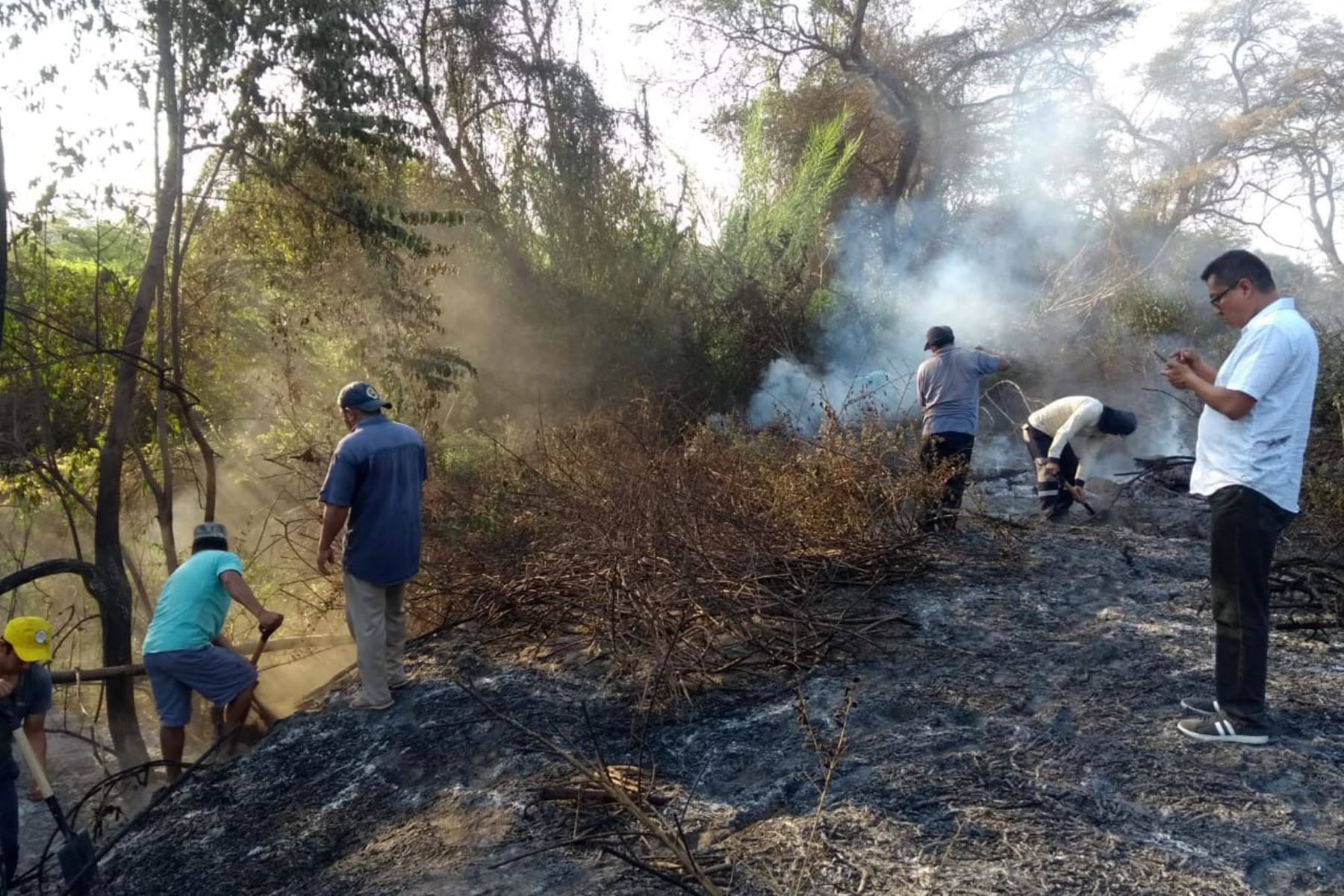En el el sector Las Alitas (Lambayeque) se registra un incendio forestal que ya ha afectado unas 50 hectáreas de bosques secos.