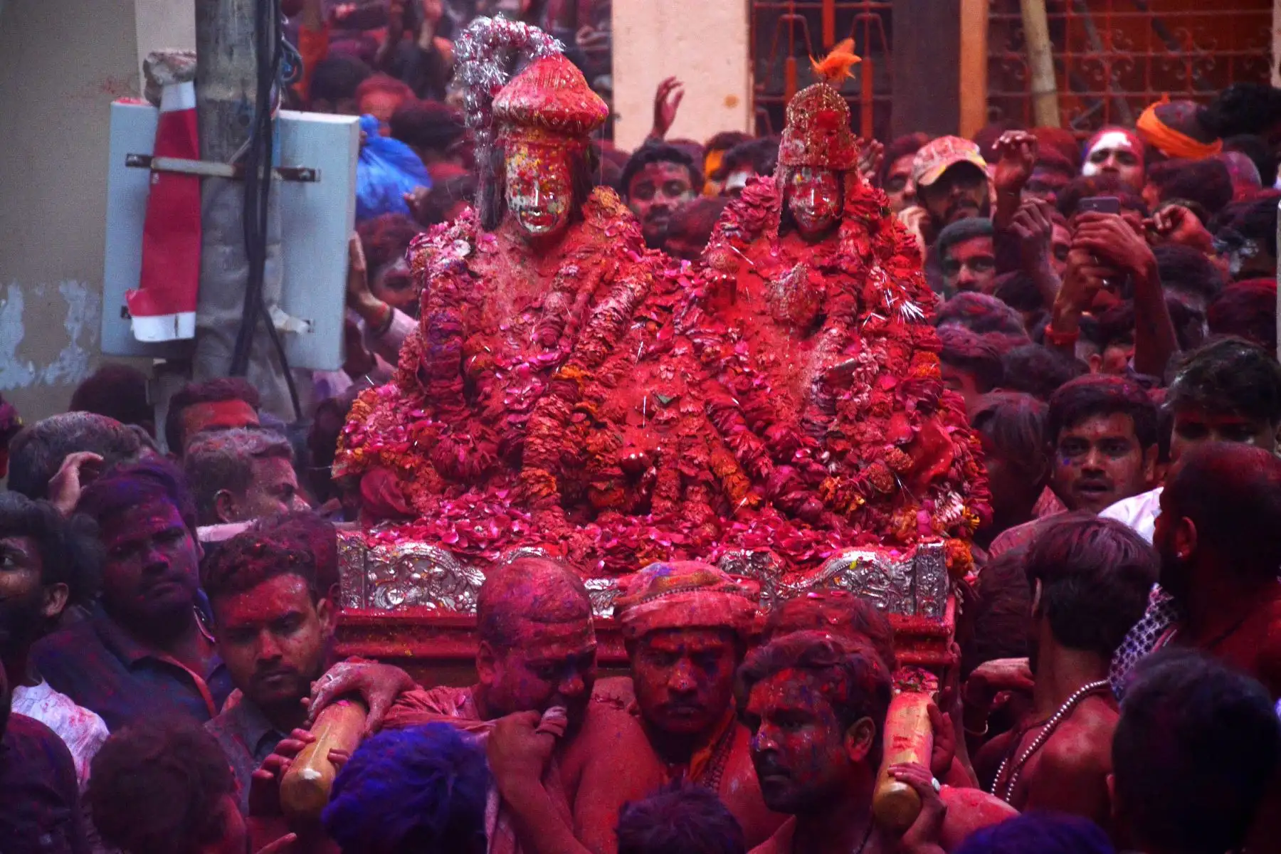 Devotos hindúes manchados con polvo de color llevan las imágenes del templo Kashi Vishwanath durante el festival de colores de primavera. Foto: AFP
