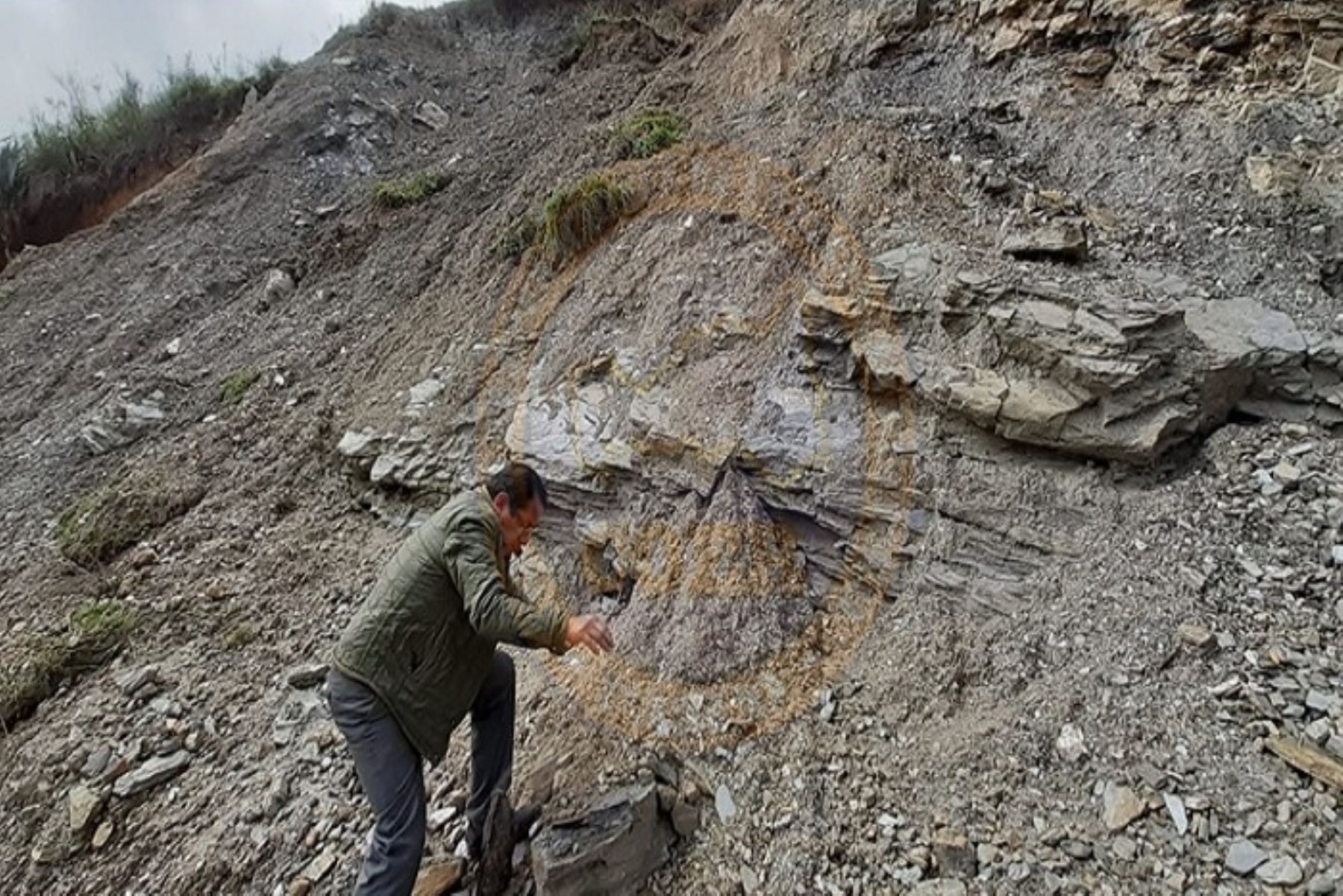 Pasco: deslizamiento de rocas bloquea 50 metros de carretera Huamayrragra