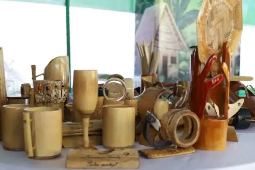 El bambú es un recurso forestal no maderable sostenible y económicamente rentable.