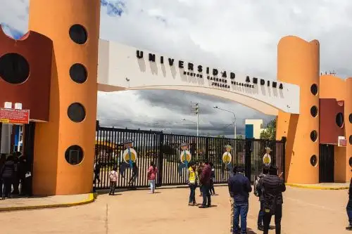 La Universidad Andina Néstor Cáceres Velásquez, con sedes en Puno y Arequipa, fue creada el 28 de diciembre de 1983.