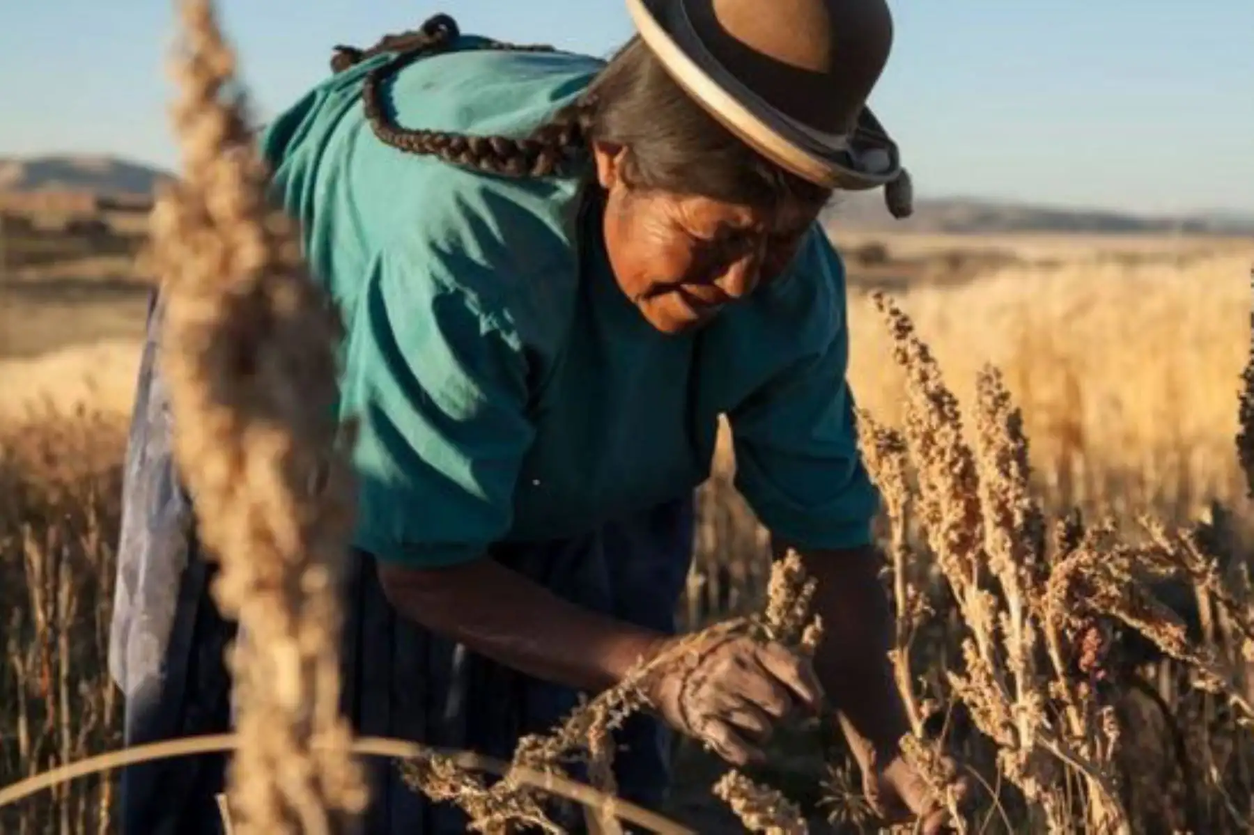 El Minam resaltó que las mujeres son pieza fundamental en los procesos de adaptación al cambio climático.