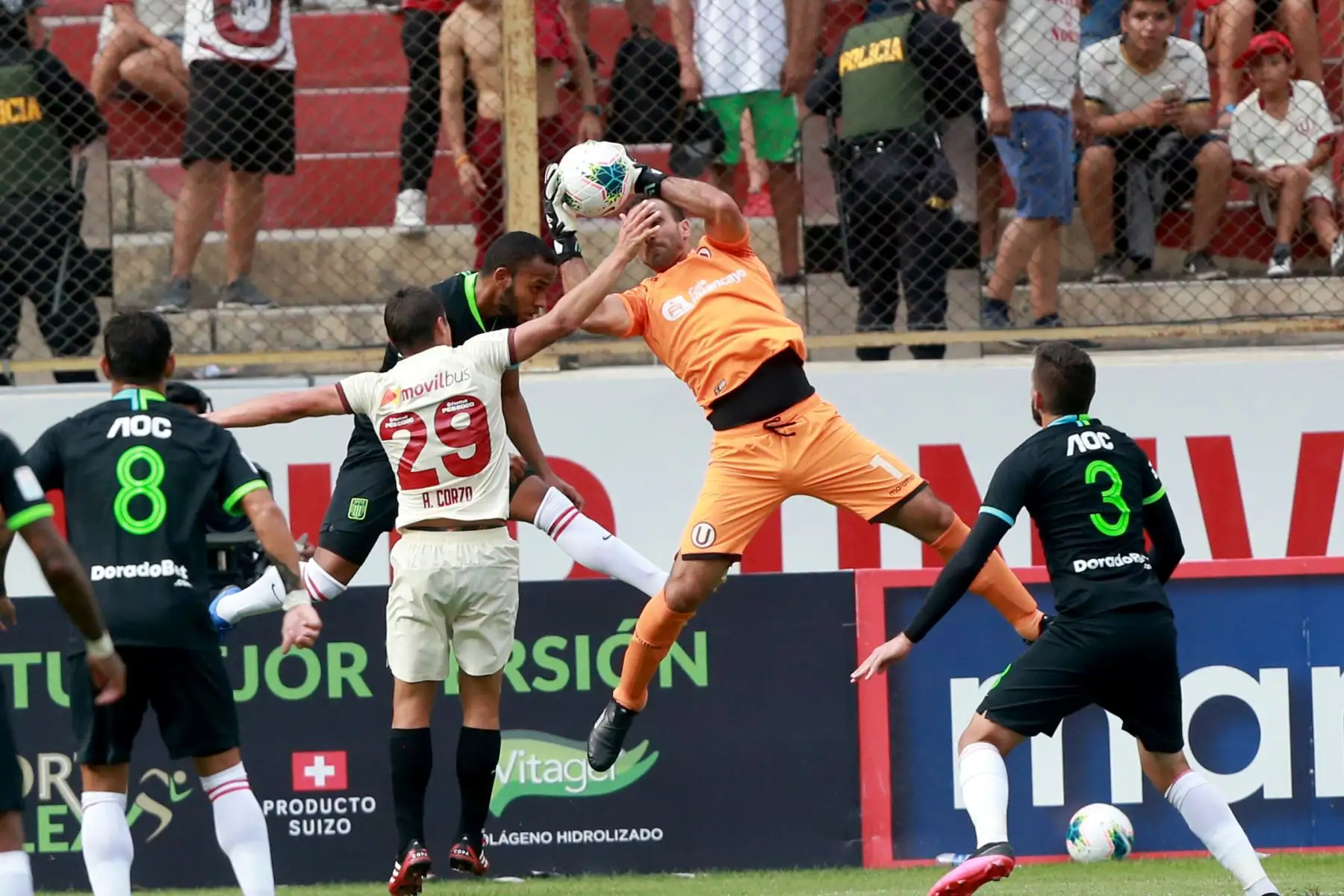 Héctor Carvalo portero de Universitario de deportes mantubo invicta su valla,durante el clásico del futbol peruano Liga 1 por el Torneo Apertura en el estadio Monumental.
Foto:ANDINA/Jhony Laurente