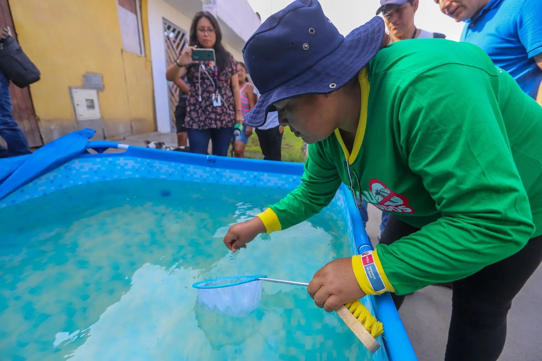 Los mosquitos transmisores del dengue pueden vivir en las piscinas armables con agua que no ha sido  cambiada por muchos días