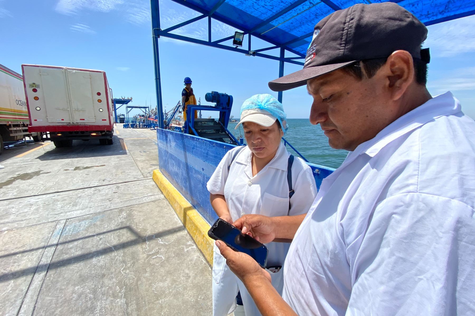 Sanipes innova con tecnología digital para registrar extracción de moluscos en bahía de Sechura, en Piura. ANDINA/Difusión