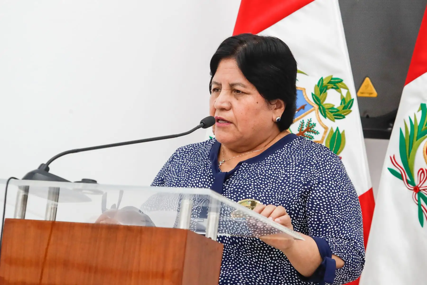 Albina Espinoza, gerente general de Migraciones. Foto: ANDINA/Renato Pajuelo