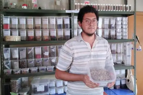 En el banco de germoplasma del Laboratorio General de Biotecnología de la UNPRG de Lambayeque se conservan más de 100 especies arbóreas nativas y amenazadas de los bosques secos.