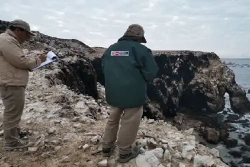 Los guardaislas, pertenecientes a Agro Rural, se encargan además del censo de aves marinas antes, durante y después de las campañas de extracción del guano de las islas.