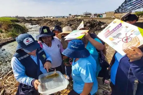 Personal de Salud de Áncash intensifica acciones de prevención contra el dengue y la malaria en el Valle del Santa.