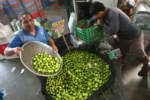Foto: ANDINA/Héctor Vinces.