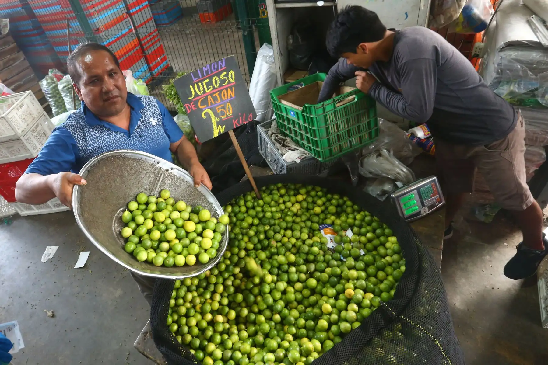 Foto: ANDINA/Héctor Vinces.