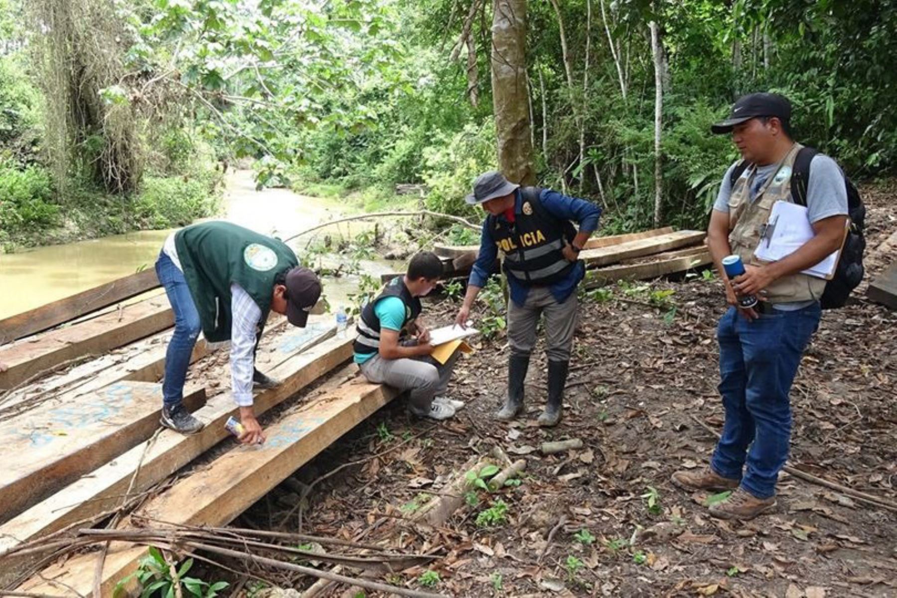 Autoridades incautan 13,000 pies tablares de madera de origen ilegal en Loreto. ANDINA/Difusión