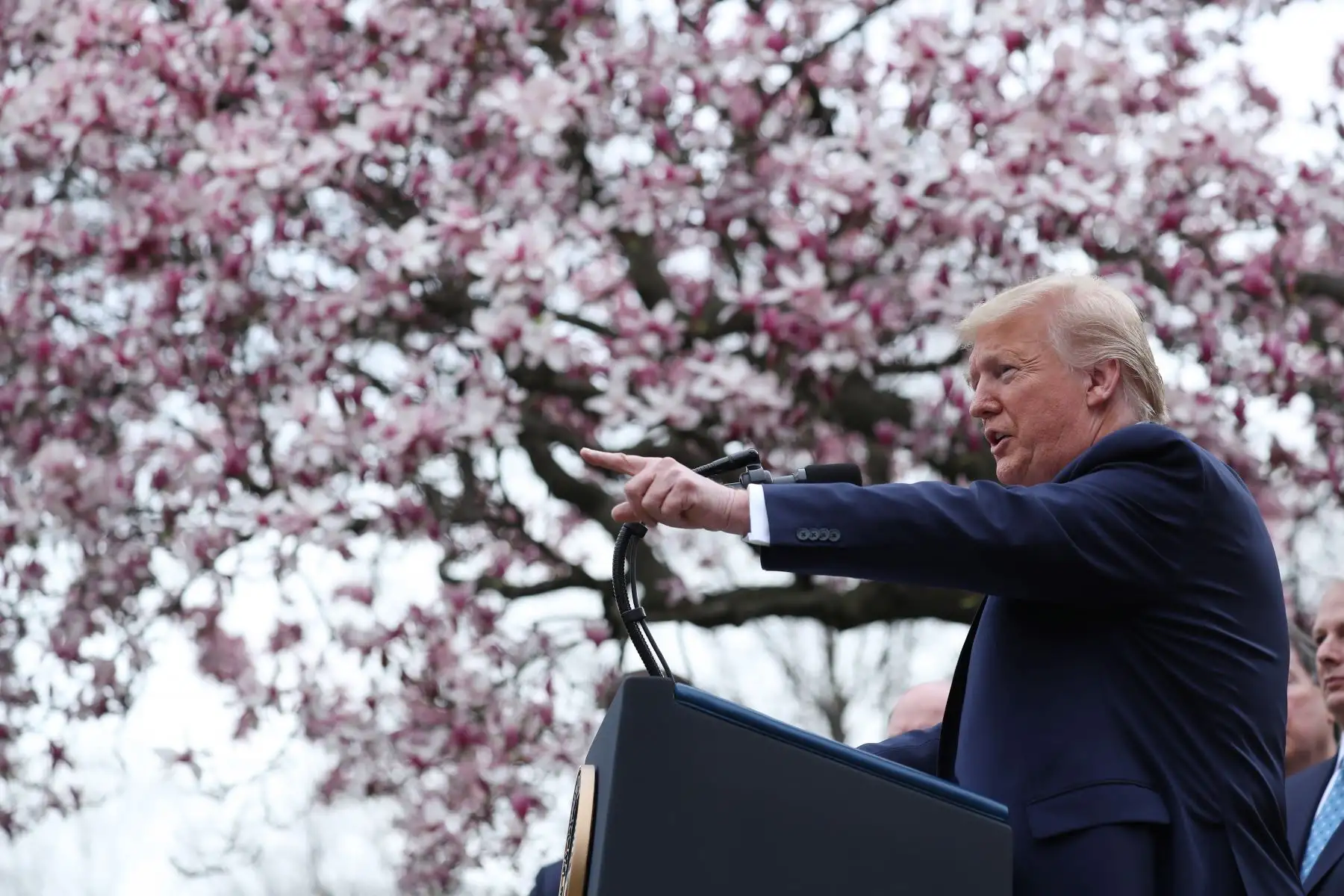 Presidente de Estados Unidos, Donald Trump. Foto: EFE
