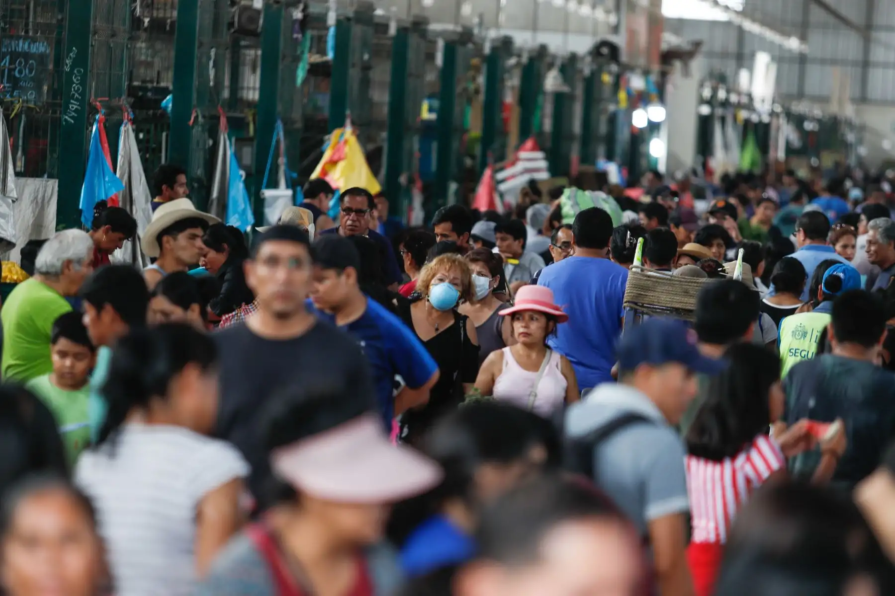 Ciudadanos tienen garantizado productos provenientes del interior del país en el Gran Mercado Mayorista de Lima.
Foto: ANDINA/Renato Pajuelo