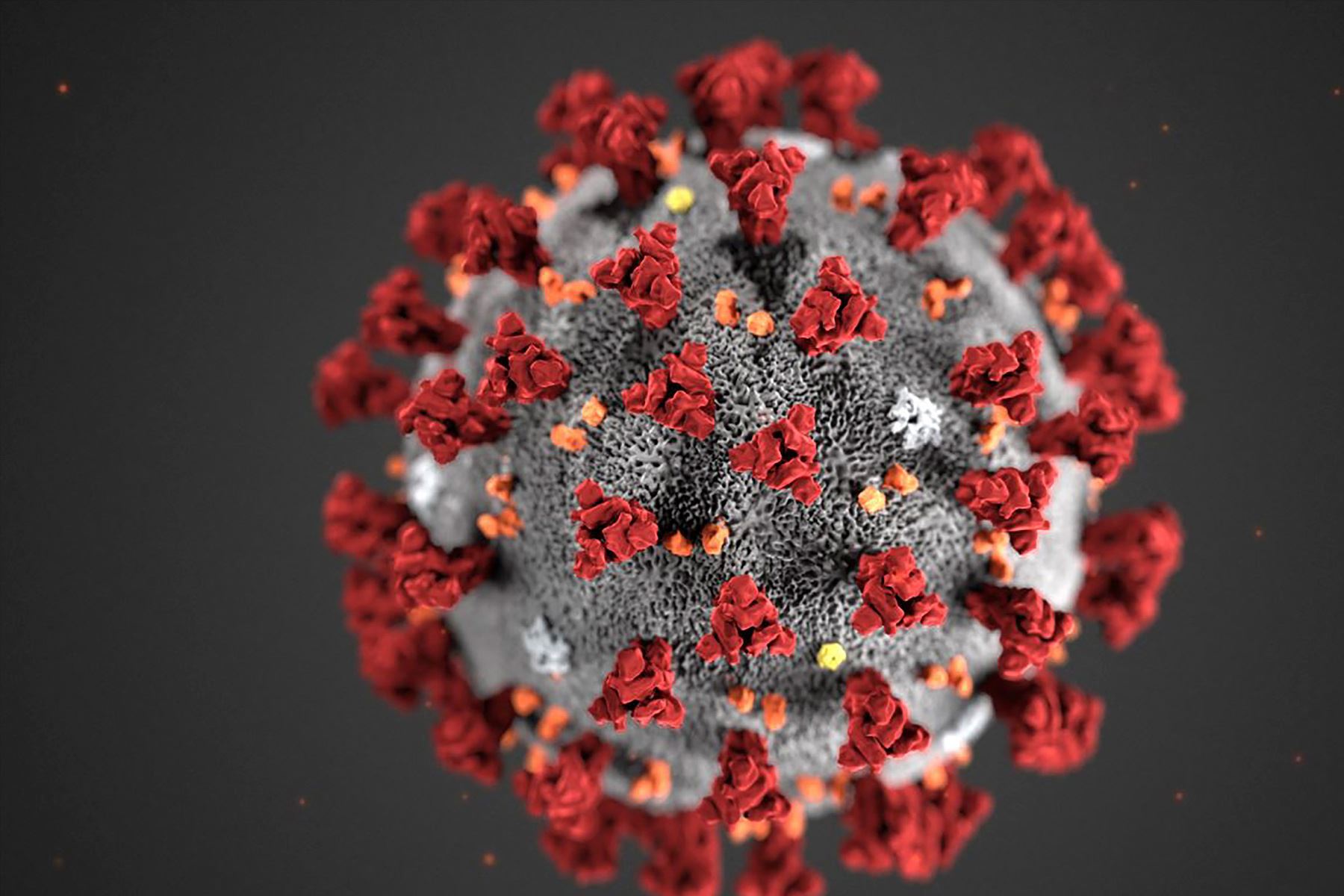Investigadores en China han identificado dos cepas principales del coronavirus (COVID-19). Foto: AFP