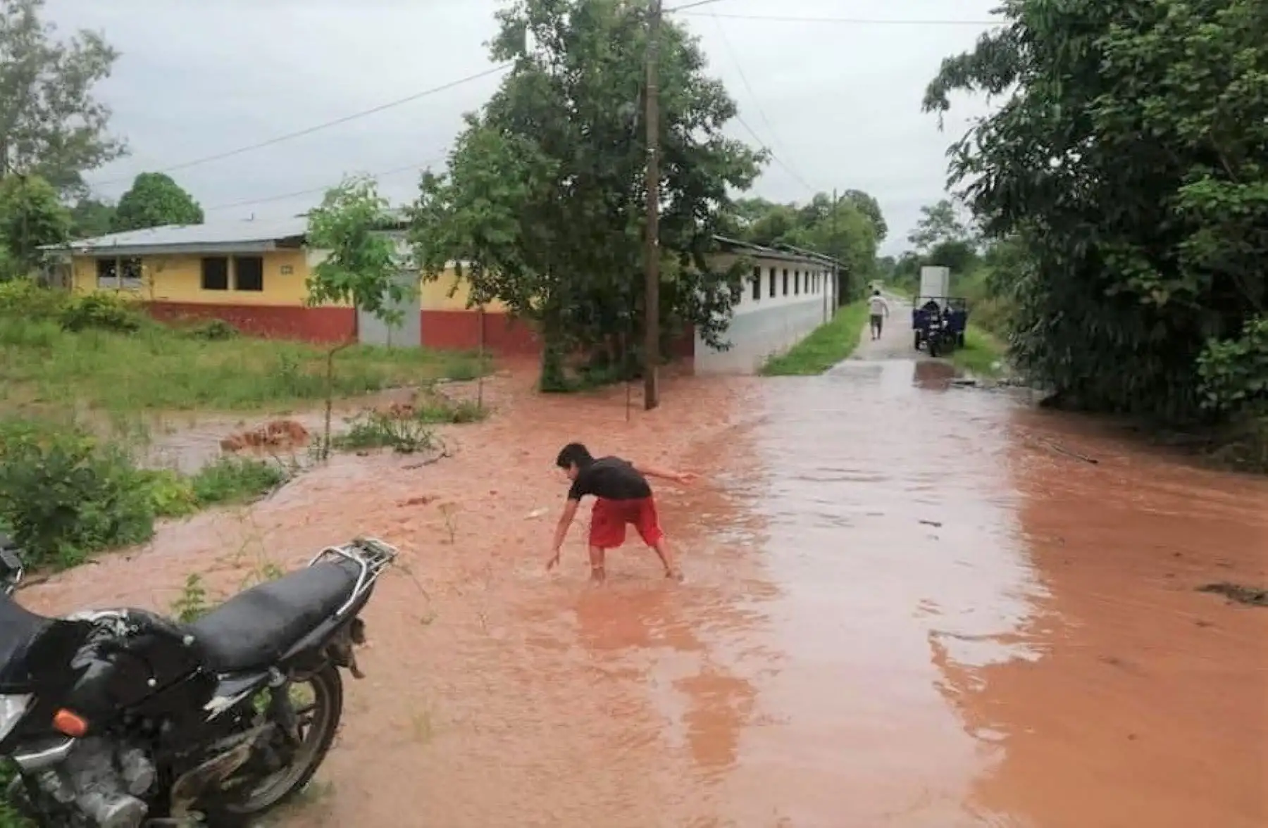 Lluvias intensas provocan daños en varias viviendas de diversos caseríos del distrito de Calzada, provincia de Moyobamba, región San Martín. ANDINA/Difusión