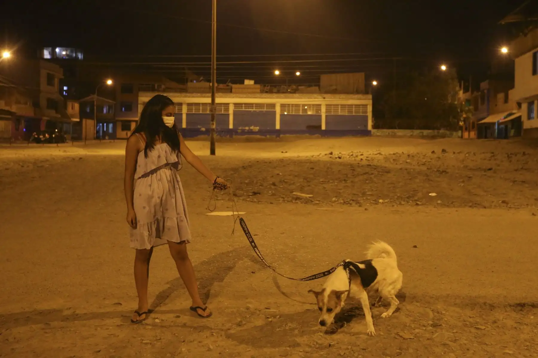 Una joven saca a pasear a su mascota antes de las 20:00 horas. Según el Ministerio de Salud, por temas de sanidad, se podrá sacar a los perros a pasear para que hagan sus necesidades, pero a sitios muy cercanos, manteniendo la distancia social de otras personas y que sea muy breve. Foto: ANDINA/Jhonel Rodríguez Robles