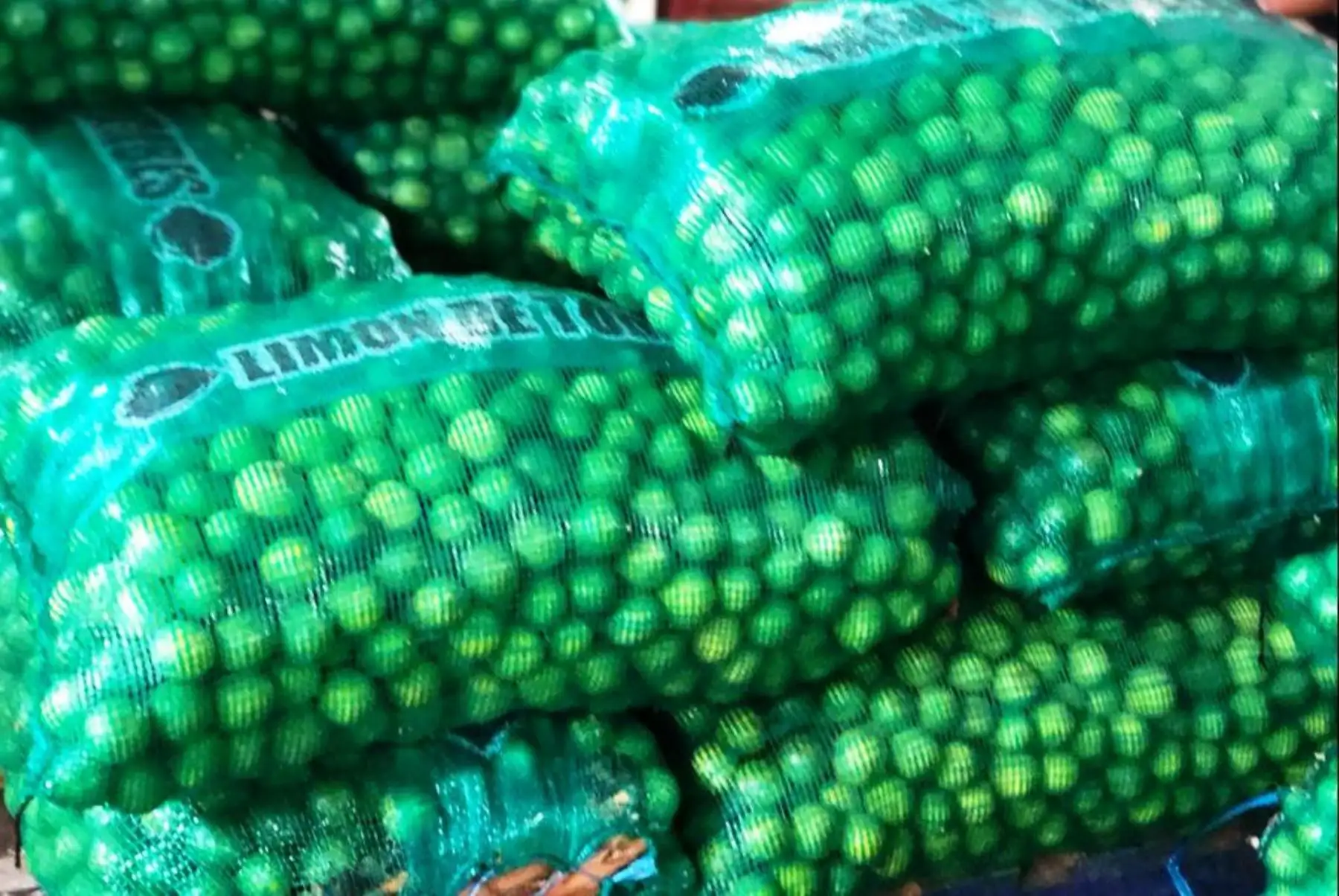 Precio del limón baja considerablemente y se vende a S/ 2.50 el kilo. Foto: ANDINA/Difusión.