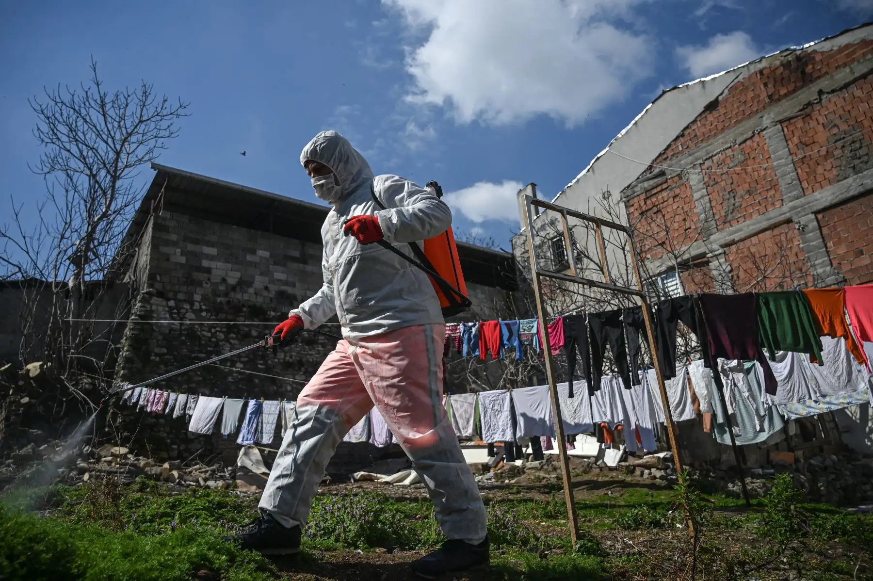 Un miembro del municipio de Fatih desinfecta un jardín en una casa a lo largo de una calle cerca del distrito de Zeyrek en Estambul, Turquía para evitar la propagación del nuevo coronavirus, COVID-19. Foto: AFP