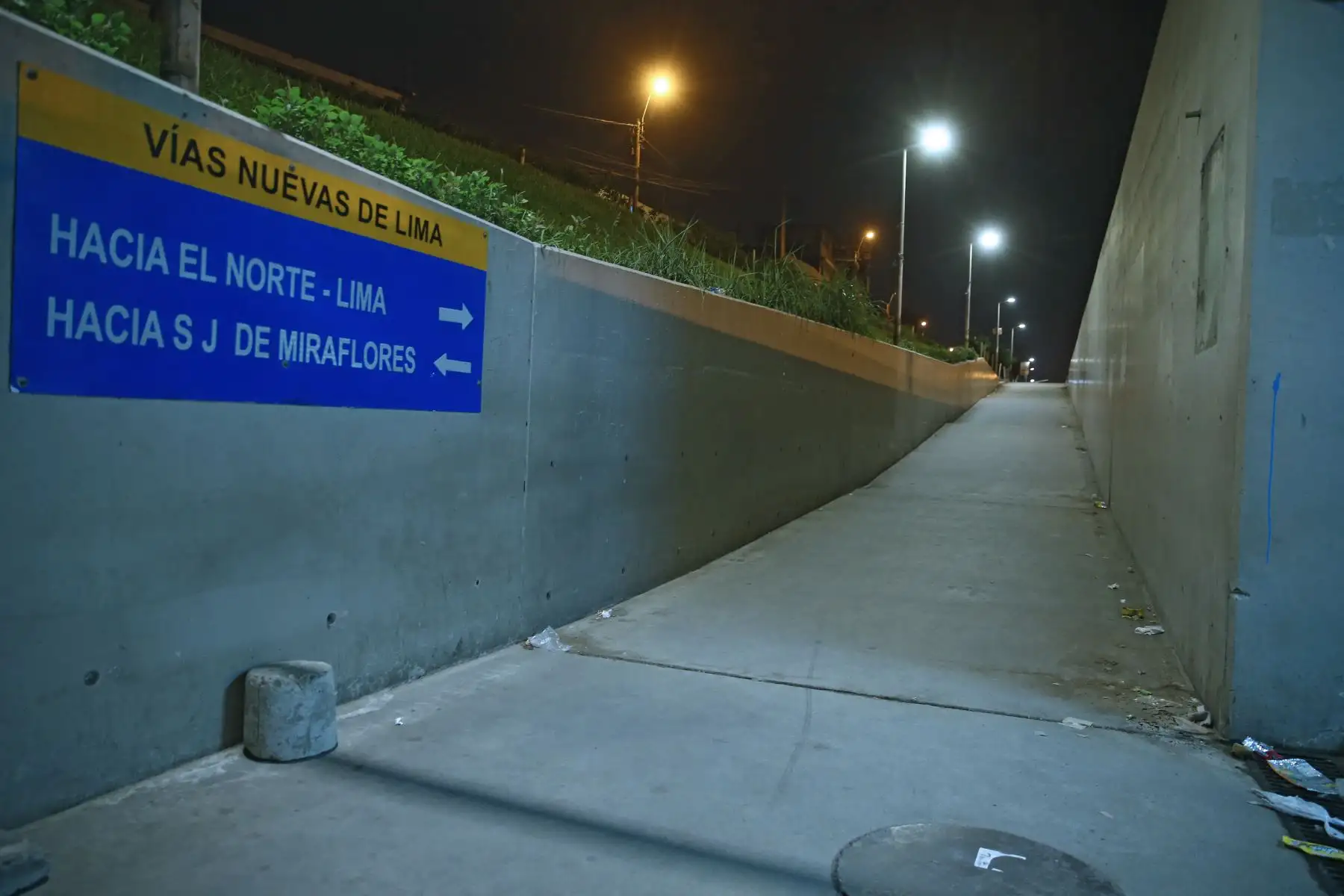 Pobladores de la Panamericana Sur , altura de Puente Alipio Ponce, acatan la Inmovilización social obligatoria desde las 20:00 hasta las 05:00 horas.
 Foto: ANDINA/Vidal Tarqui