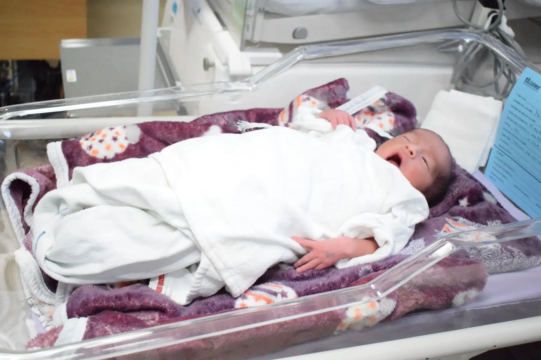 Juan Diego, Paulo y Luis Ángel se han convertido en los engreídos del área de neonatología y representan esperanza y alegría en medio de la situación que atraviesa el país. Foto:ANDINA/Essalud