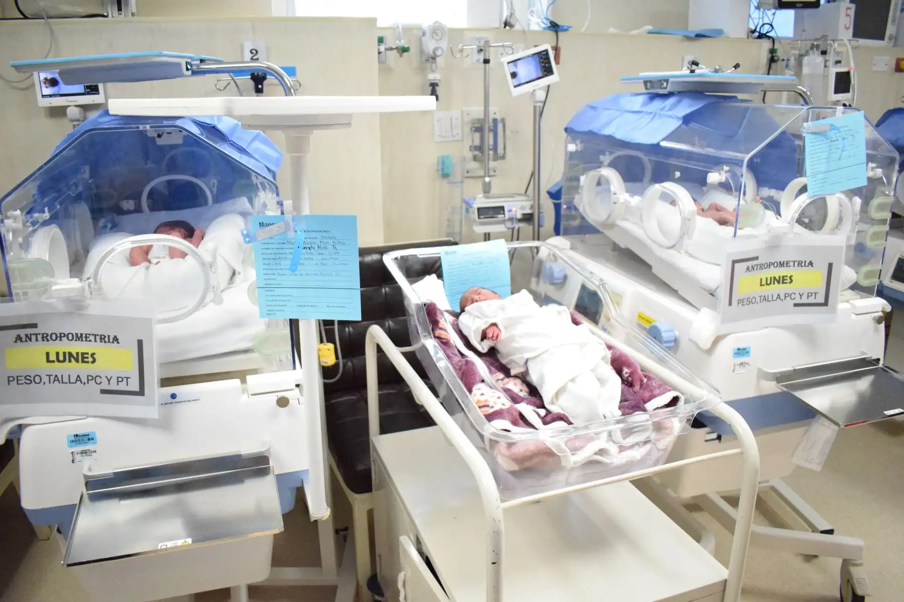 Los  tres bebes se encuentran en excelente estado de salud y vienen siendo supervisados por personal de la Red Almenara. Foto:ANDINA/Essalud
