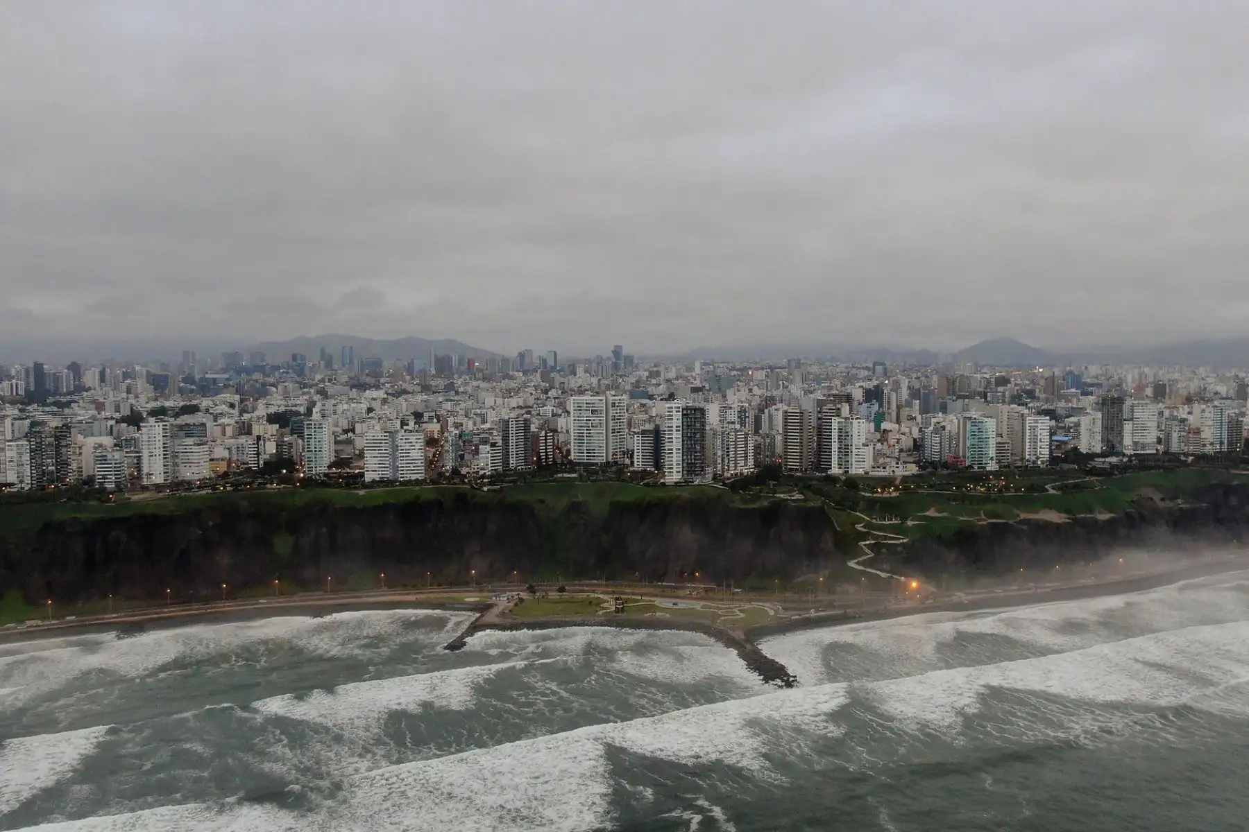 La ciudad en cuarentena es testigo de la libertad de la fauna marina en la Costa Verde. Foto: ANDINA/difusión.