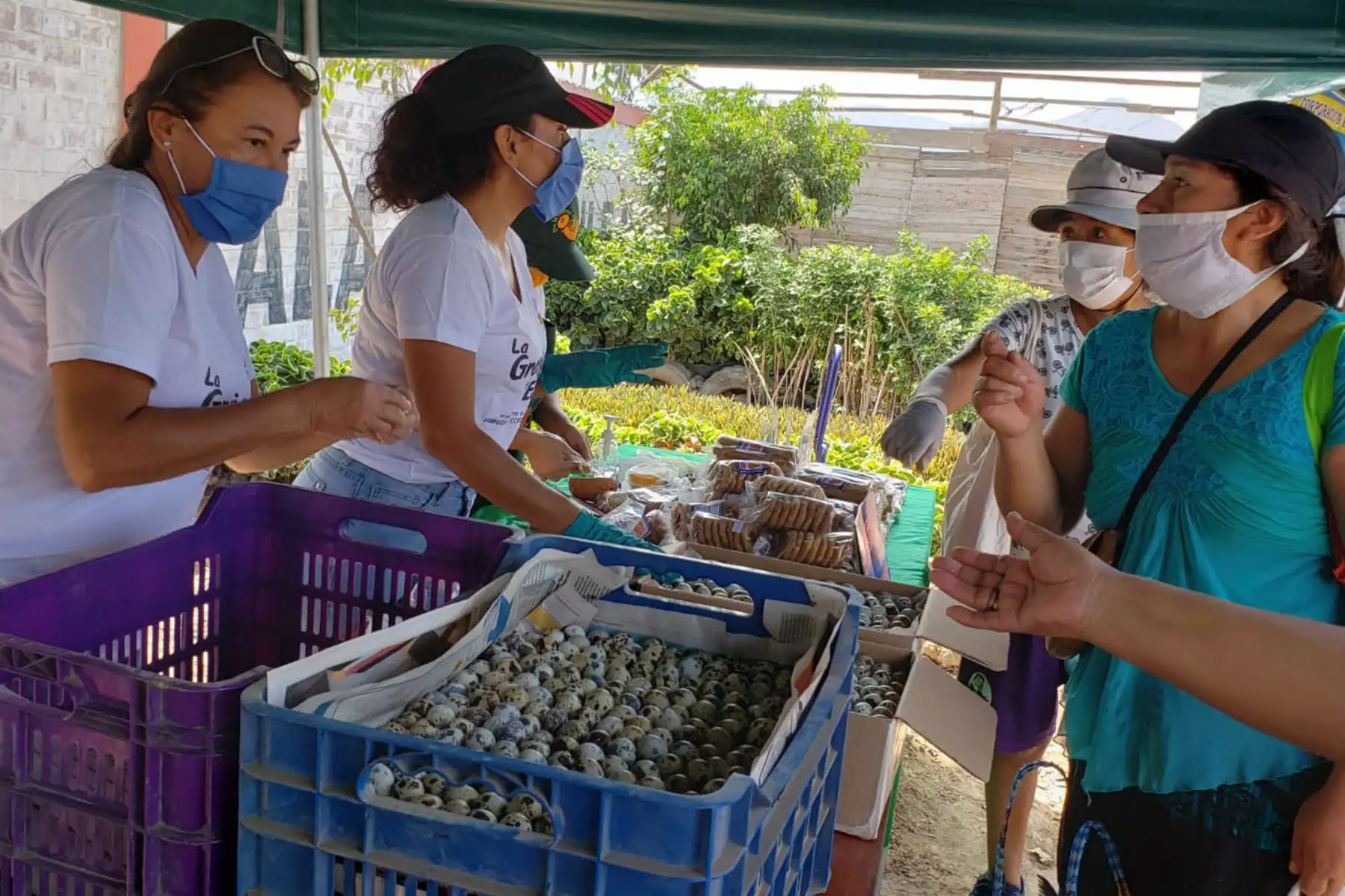 Ministro de Agricultura y Riego, Jorge Montenegro recorre el primer mercado Minagri " DeLaChacraALaOlla" , instalado en el distrito de Puente Piedra. 
Foto: Minagri