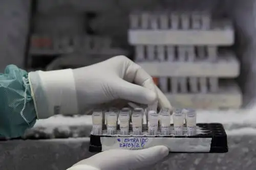 Estudio científico revela que el cambio climático puede agravar más del 50 % de las enfermedades infecciosas. EFE