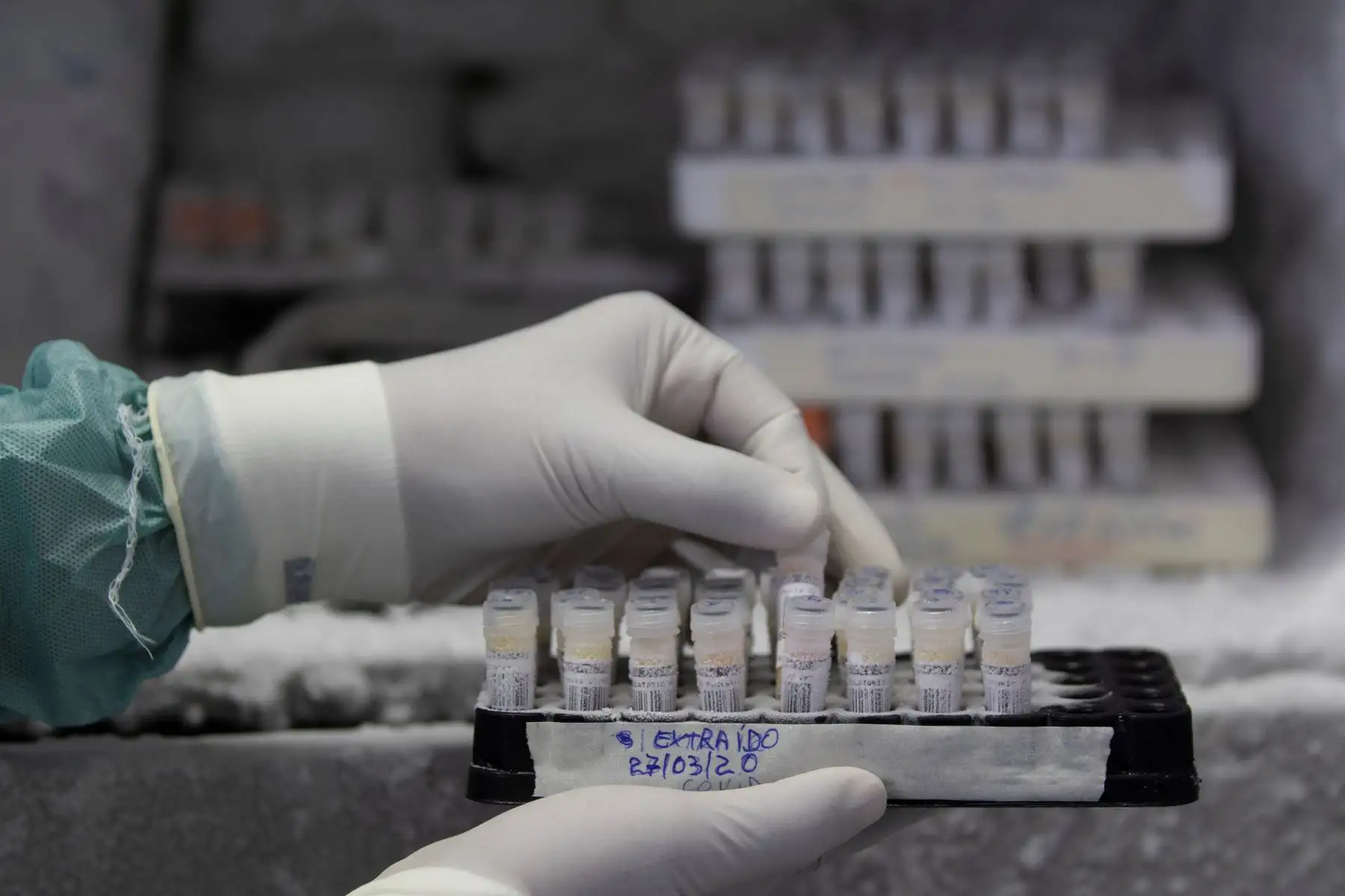 Estudio científico revela que el cambio climático puede agravar más del 50 % de las enfermedades infecciosas. EFE