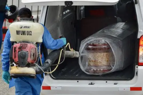 CIDH está consternada por las dificultades para sepultar cuerpos en Guayaquil. Foto: EFE