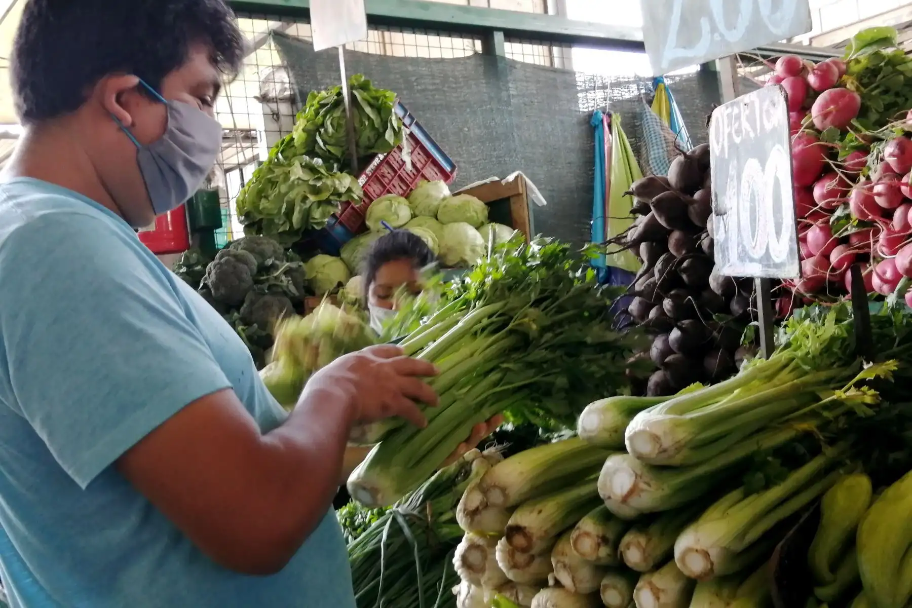 Durante la vigencia del Estado de Emergencia Nacional, los productores, empresarios y trabajadores del sector agropecuario podrán desarrollar sus actividades para asegurar la adquisición, producción y abastecimiento de productos alimenticios, lo cual incluye el tránsito de camiones así como el cumpliendo los protocolos de sanitarios y de seguridad. ANDINA/Jack Ramón