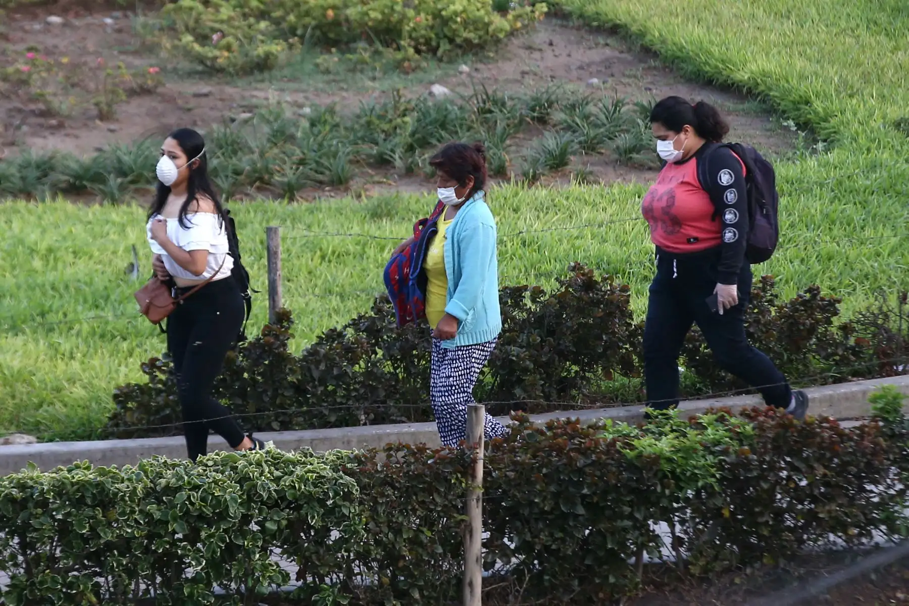Foto: ANDINA/Vidal Tarqui.
