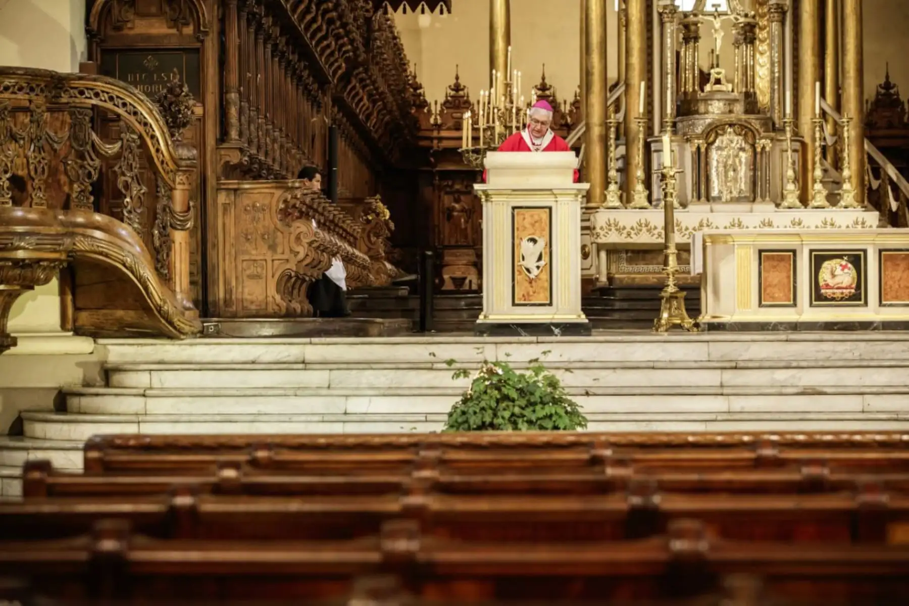 Monseñor Carlos Castillo, Arzobispo de Lima y Primado del Perú, presidió la Celebración Eucarística de este Domingo de Ramos a puertas cerradas y en memoria de todas las personas fallecidas por el coronavirus.
Foto:Arzobispado de Lima - Katherine Cárdenas