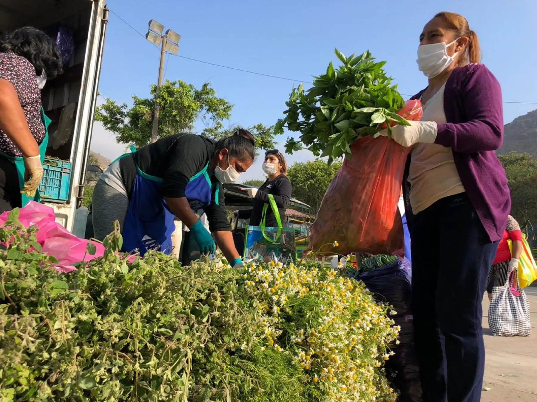 la Municipalidad de Lima instaló el Mercado Mayorista Móvil en ocho distritos limeños