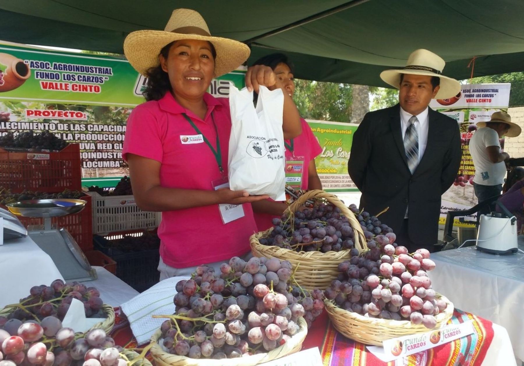 Producción agrícola sigue adelante y en Tacna pequeños productores de Locumba incrementan producción de uva Red Globe.