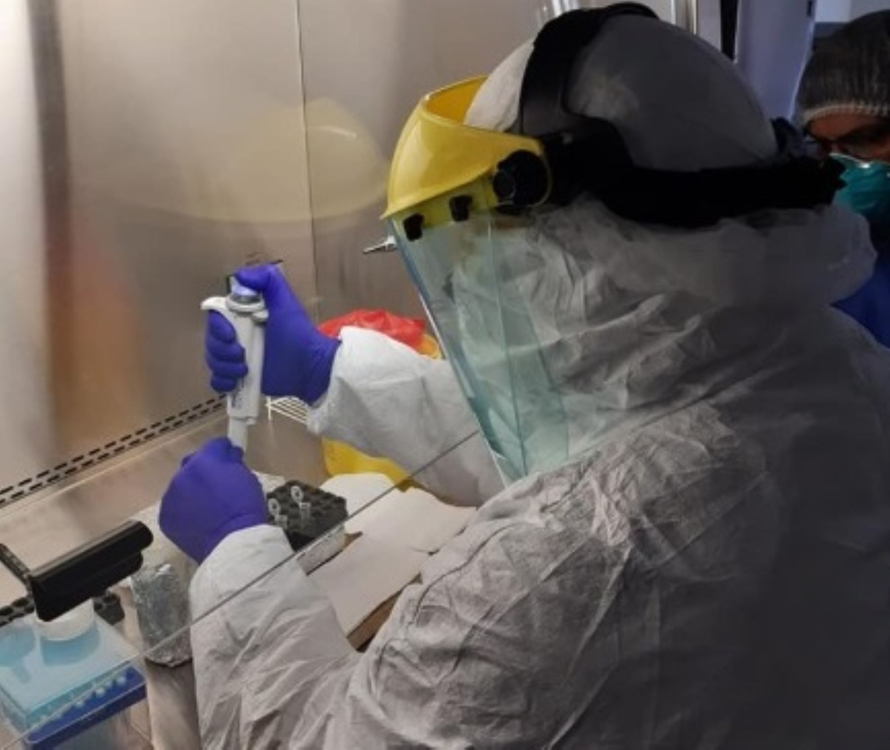 Un equipo de biotecnólogos de la Universidad Nacional de Tumbes trabaja intensamente en la creación de una vacuna contra el coronavirus covid-19, así como en técnicas para el diagnóstico rápido y conocer la evolución de esta enfermedad que ha infectado a casi 3,000 peruanos, de los cuales 43 son tumbesinos.