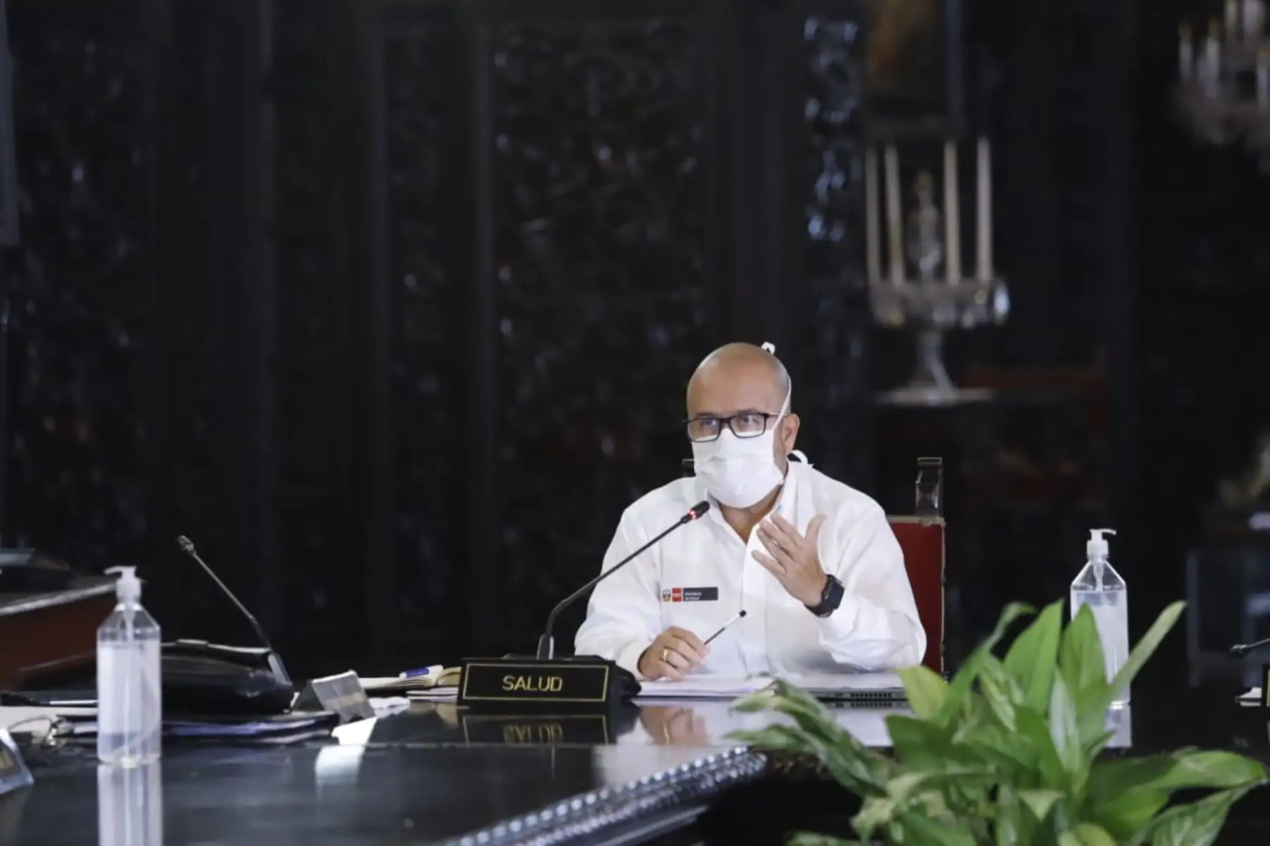 Foto: ANDINA/Prensa Presidencia.