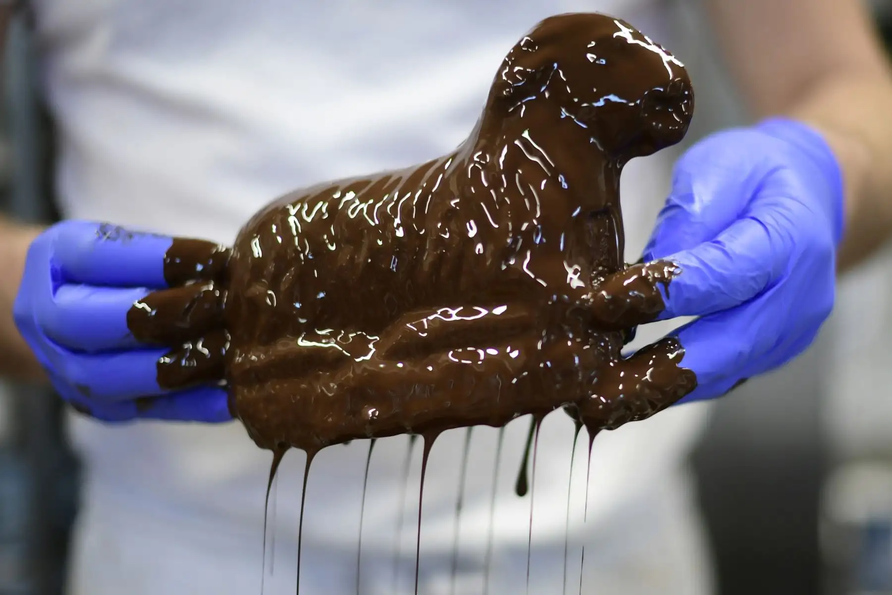 Un tradicional pastel de pascua en forma de cordero se sumerge en chocolate en la panadería Schuerener Backparadies en Dortmund, Alemania occidental.
Foto: AFP