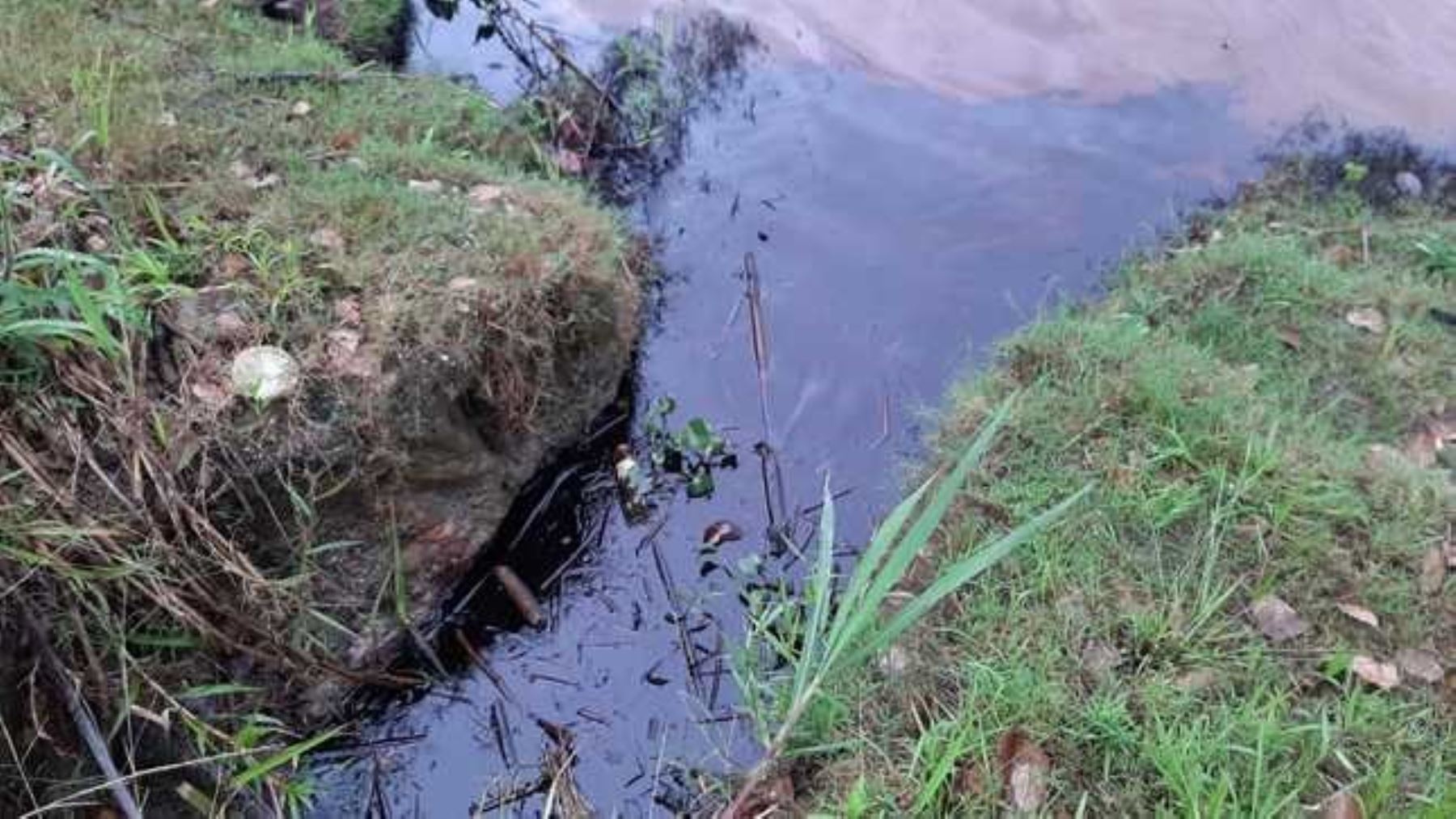 Defensoría alertó que el derrame de petróleo en el Oleoducto llegó al río Marañón, región Loreto. ANDINA/Archivo