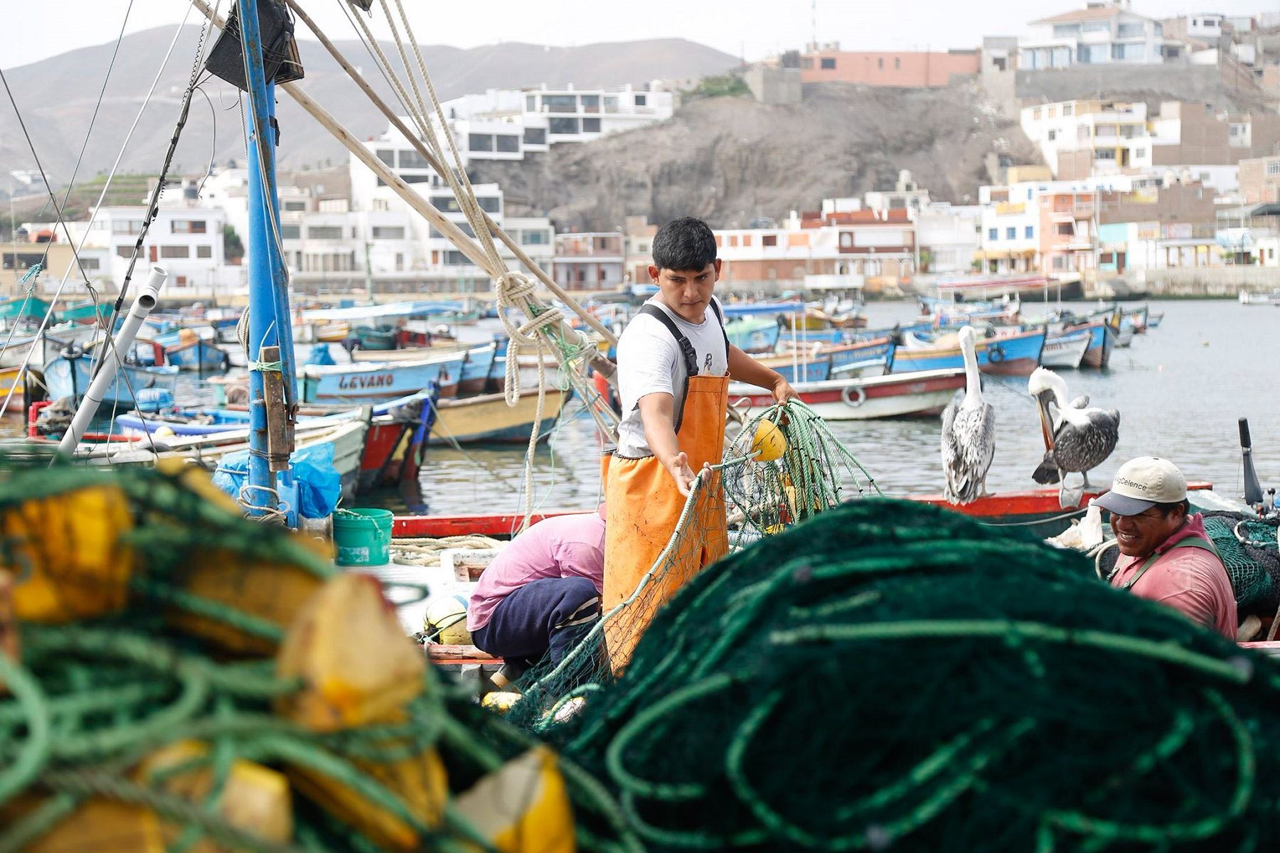 Pescadores podrán acceder a préstamos de hasta S/ 2,000 a través ...