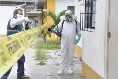 Foto: ANDINA/Difusión