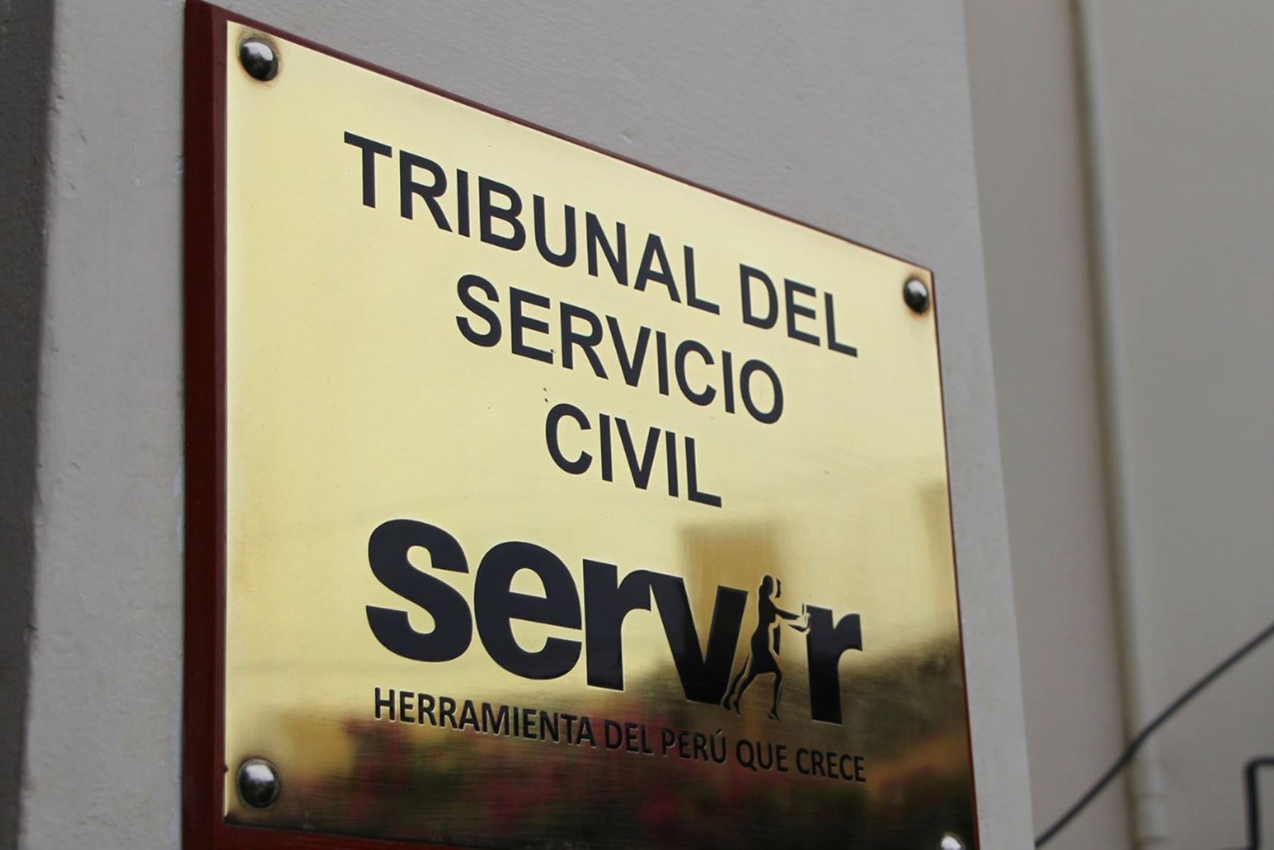 El Tribunal del Servicio Civil cumplió diez años de servicio ininterrumpido al país. Foto: ANDINA/Difusión