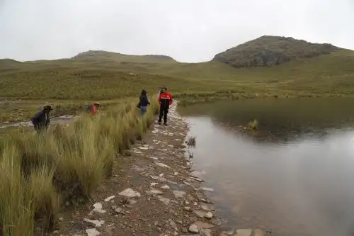 El Ministerio de Agricultura destacó el aporte de las qochas en el almacenamiento de agua para la agricultura familiar.