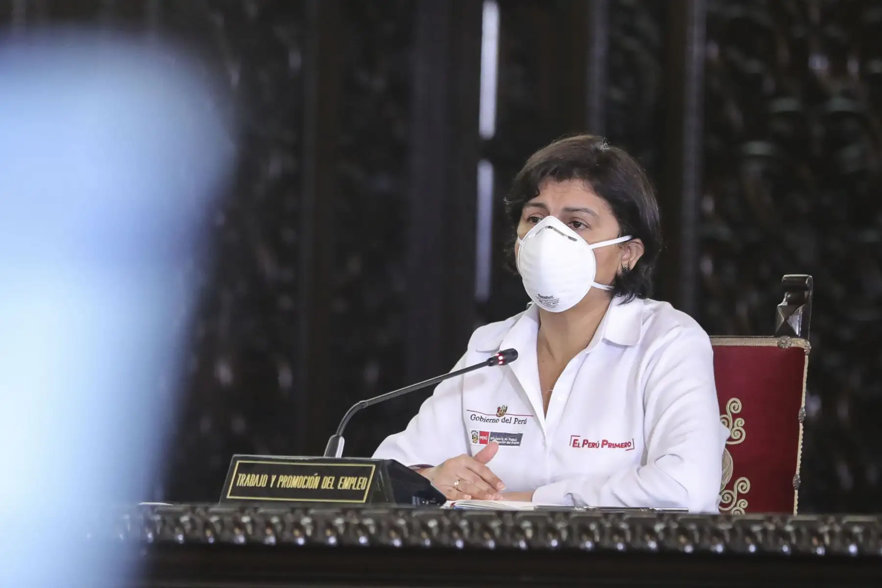ANDINA/Prensa Presidencia