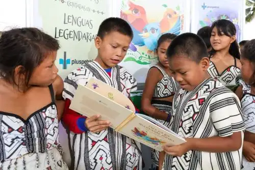 Presentan libro virtual de cuentos infantiles escritos en lenguas indígenas yine y matsigenka, pueblos originarios de la Amazonía de Cusco. ANDINA/Difusión