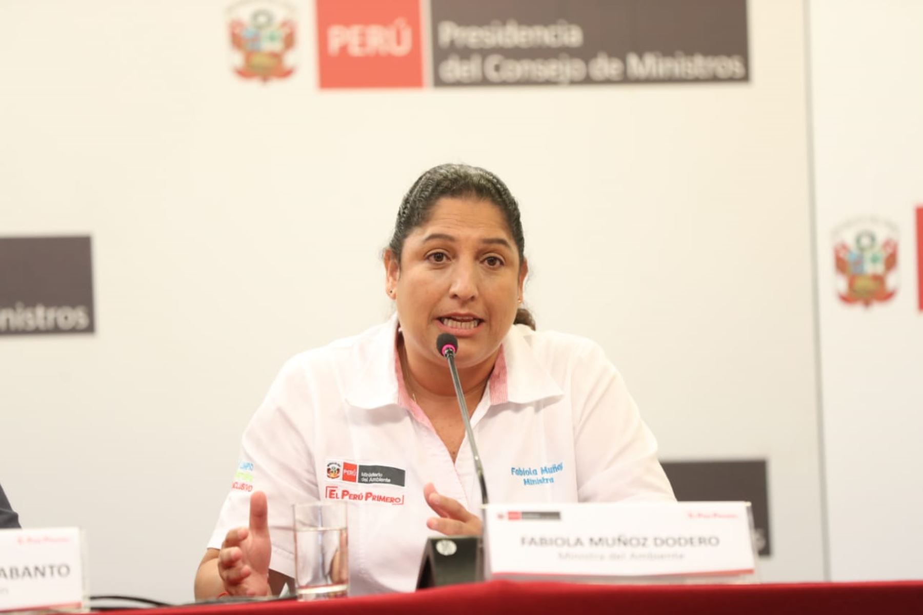 Ministra del Ambiente, Fabiola Muñoz. ANDINA/Difusión