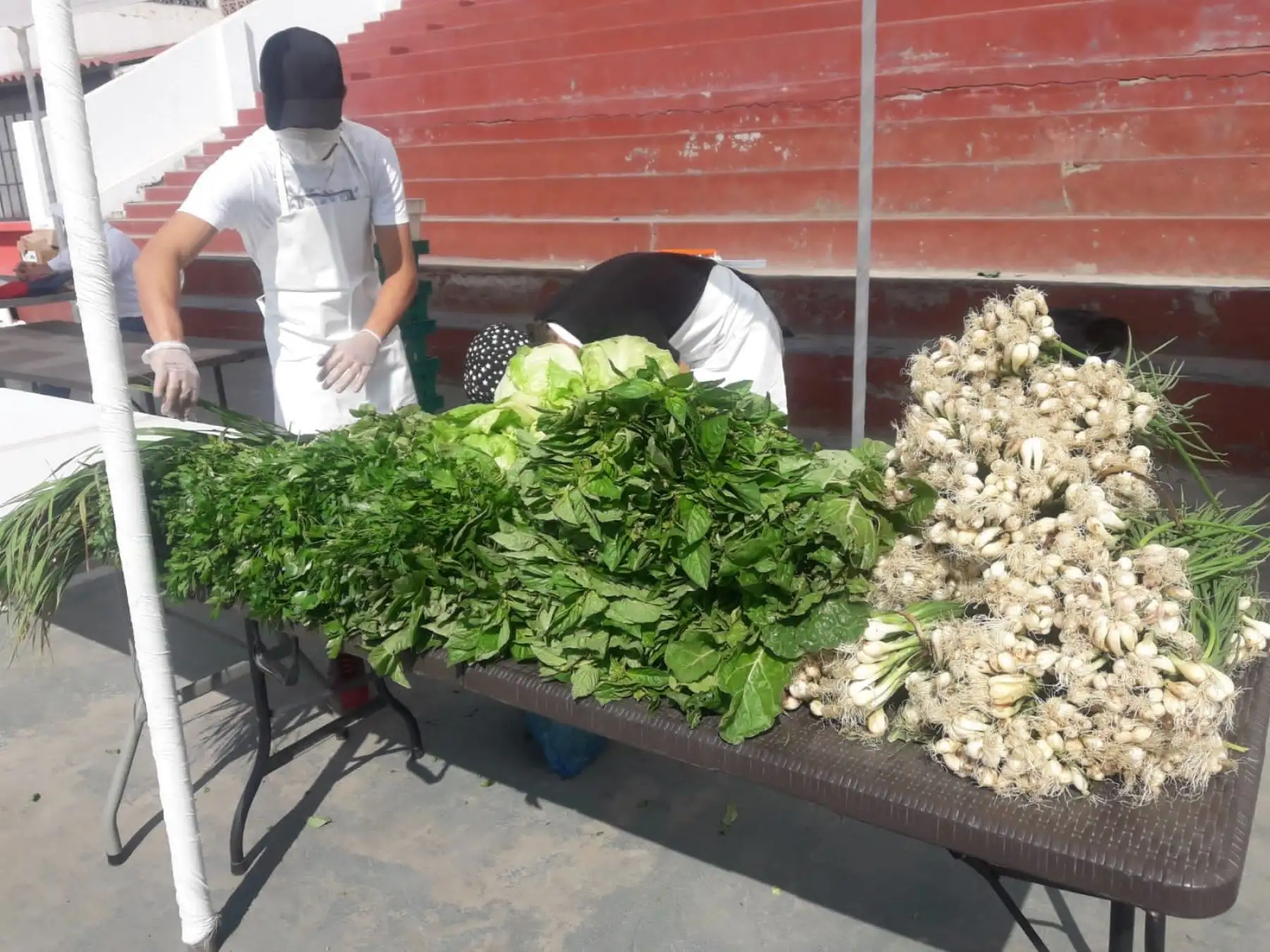 La Comisión Bicentenario de La Libertad pone en marcha programa de mercado itinerante en distritos populosos de Trujillo que ofrecerá productos a precios módicos. ANDINA/Difusión