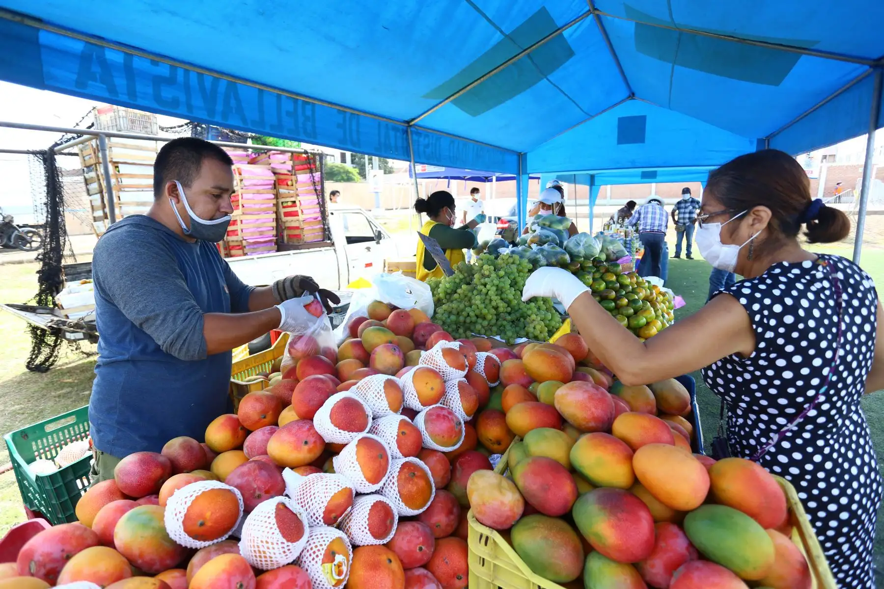 Mercados Minagri " De la Chacra a la Olla "  llegan a Bellavista, Mi Perú y Ventanilla, para abastecer a las familias con alimentos sanos a precios justos. 
Foto: Minagri